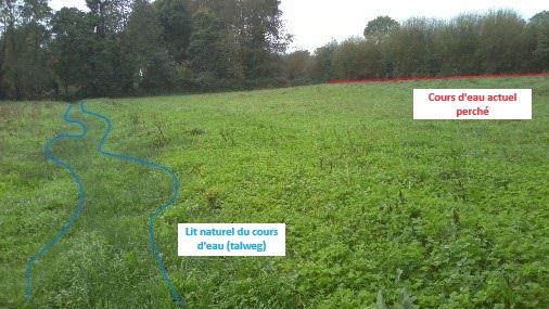 Photo 16 altération CE perché V2