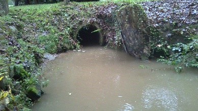 Photo 2 altération
