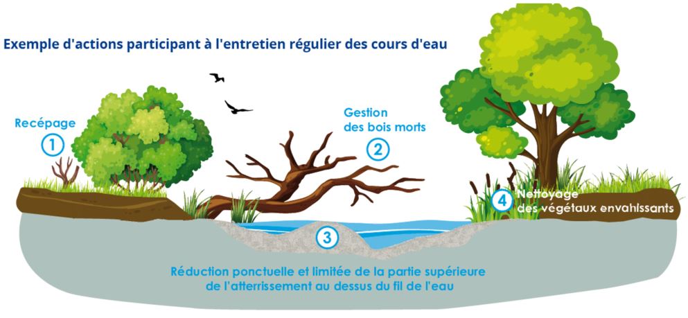 illustration 2 bon à savoir